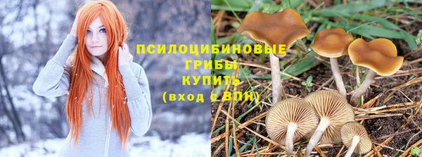 ALPHA-PVP Зеленокумск