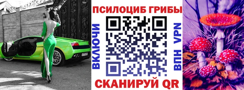 Псилоцибиновые грибы GOLDEN TEACHER  Купить  Братск 